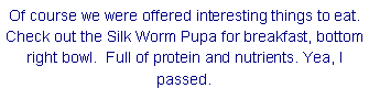 Text Box: Of course we were offered interesting things to eat. Check out the Silk Worm Pupa for breakfast, bottom right bowl.  Full of protein and nutrients. Yea, I passed. 